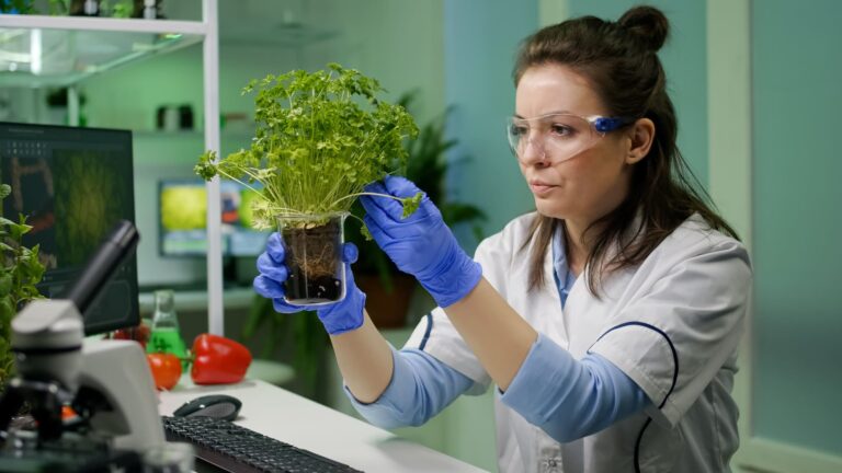 BIOTECH IGNITION GRANT